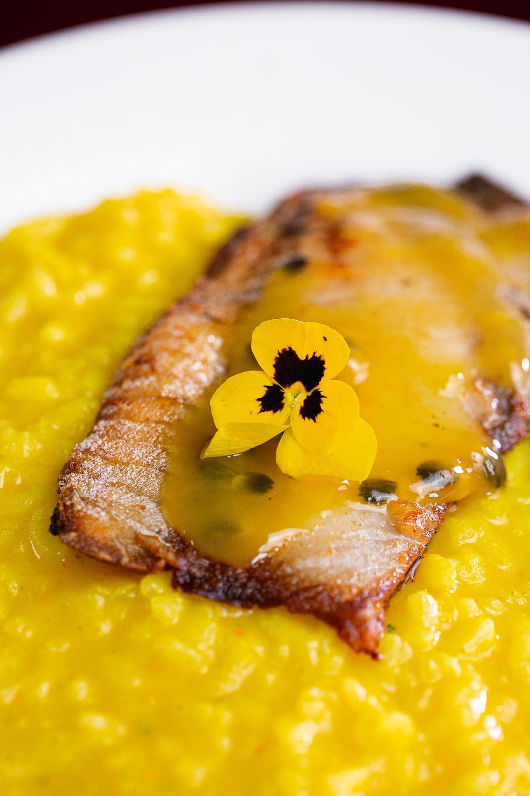 Close de peixe ao molho de maracujá com amor-perfeito comestível